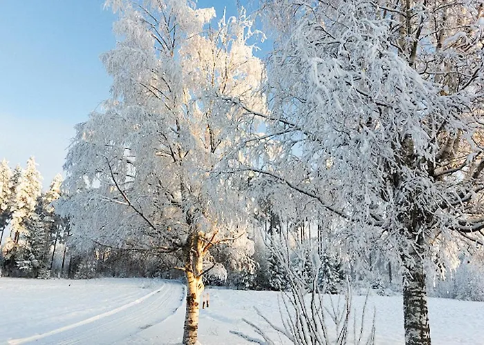 Amazing In Braskereidfoss With Wifi *